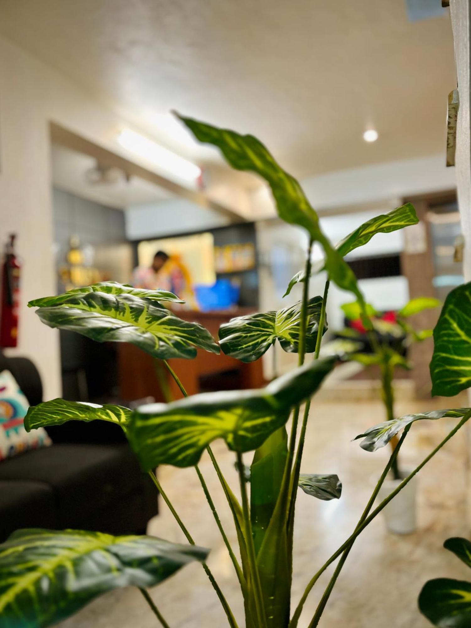 Sai Shreyas Residency, Best Hotel Near Bangalore Airport Dod Jala 外观 照片